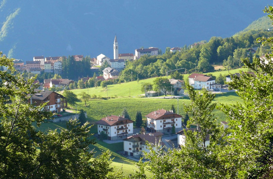 Radici cimbre